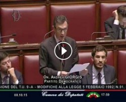 giorgis.intervento