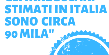 SUGLI IMMIGRATI IRREGOLARI SALVINI DÀ I NUMERI