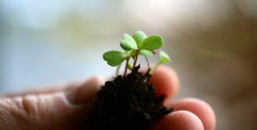 Ambiente: Consumo del suolo e alluvioni