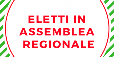 Assemblea Regionale PD – Unione Regionale del Piemonte (eletta il 16 dicembre 2018)